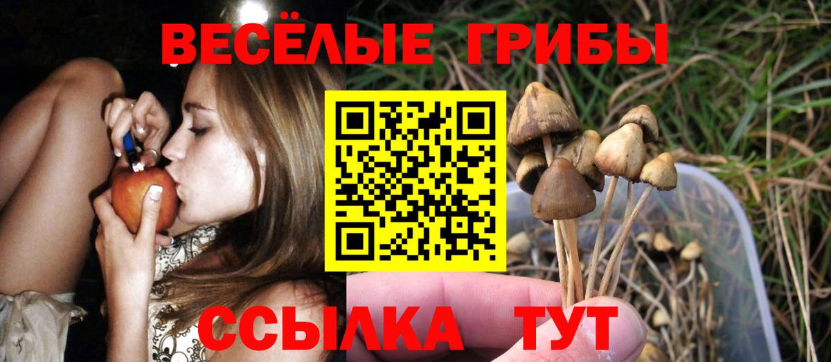 Псилоцибиновые грибы ЛСД  Вход с VPN  Мурманск  Псилоцибиновые грибы Cubensis 